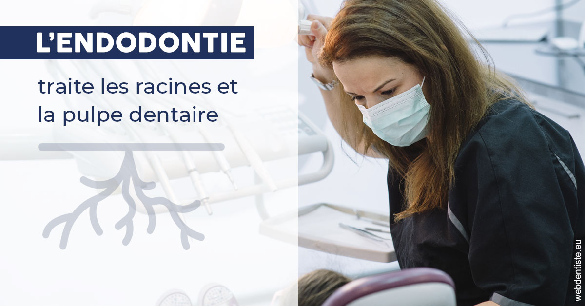 https://dr-chapon-frederic.chirurgiens-dentistes.fr/L'endodontie 1