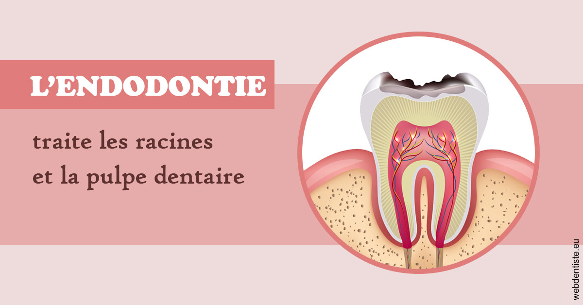 https://dr-chapon-frederic.chirurgiens-dentistes.fr/L'endodontie 2
