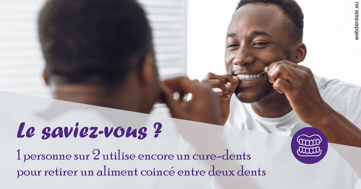 https://dr-chapon-frederic.chirurgiens-dentistes.fr/Cure-dents 2