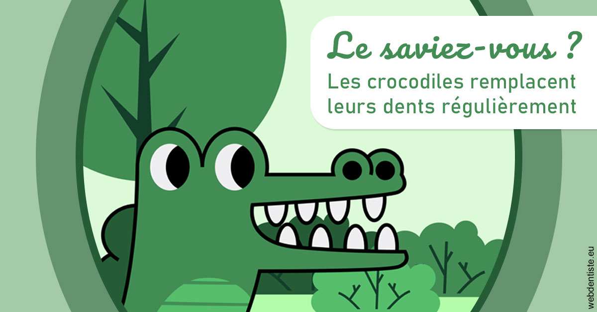 https://dr-chapon-frederic.chirurgiens-dentistes.fr/Crocodiles 2