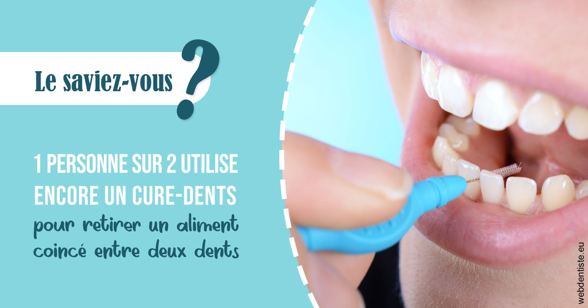 https://dr-chapon-frederic.chirurgiens-dentistes.fr/Cure-dents 1