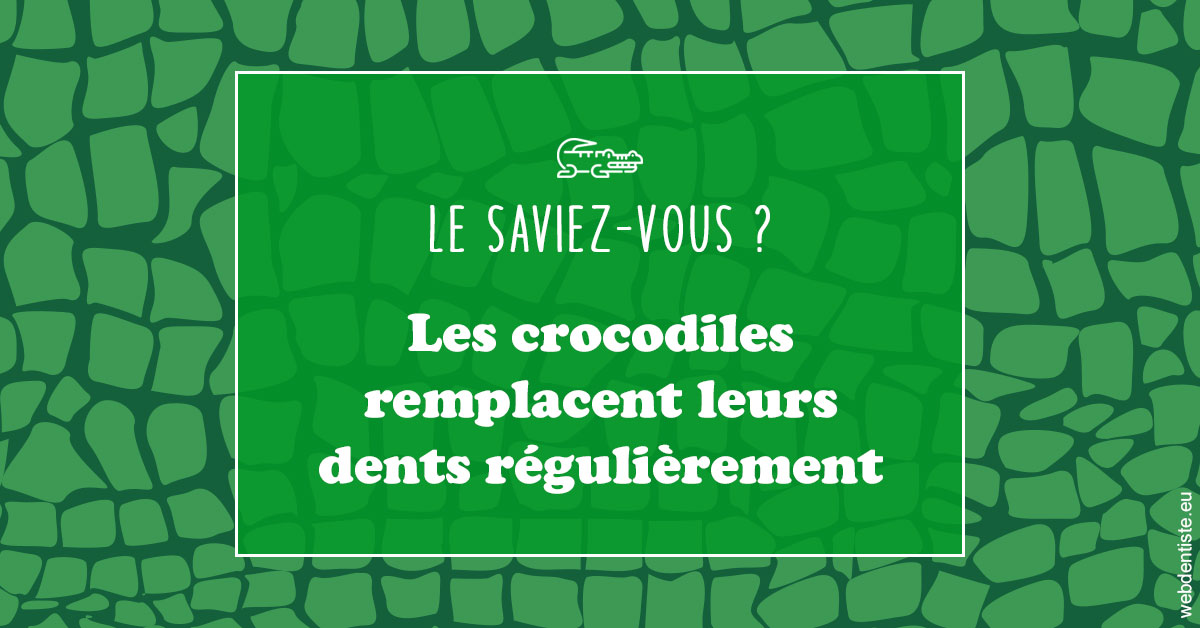 https://dr-chapon-frederic.chirurgiens-dentistes.fr/Crocodiles 1